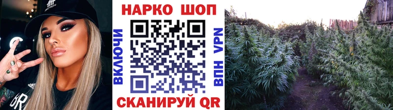 Где купить наркотики Грозный Лсд 25  Кокаин  МЕТАМФЕТАМИН  Конопля  МЕФ  A PVP 