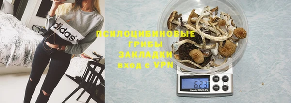 спиды Бердск