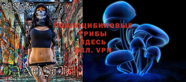 ECSTASY Михайловск