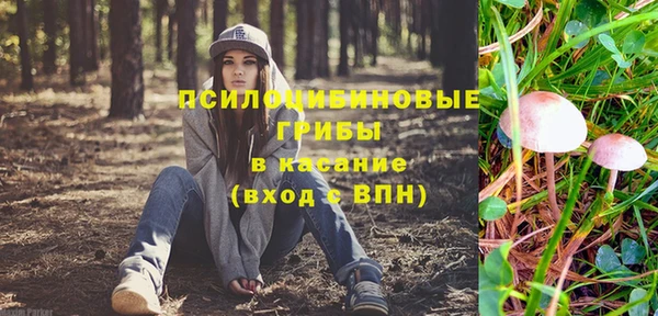 соль курить ск Михайловка