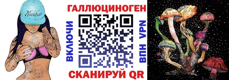 купить закладку  Грозный  darknet какой сайт  Псилоцибиновые грибы Psilocybe 