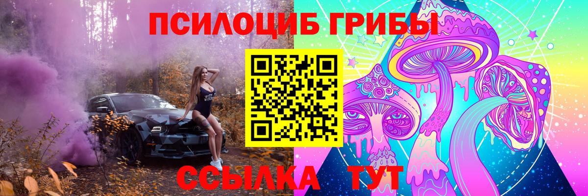 Галлюциногенные грибы прущие грибы  Вход с VPN  Грозный  Псилоцибиновые грибы Psilocybe 